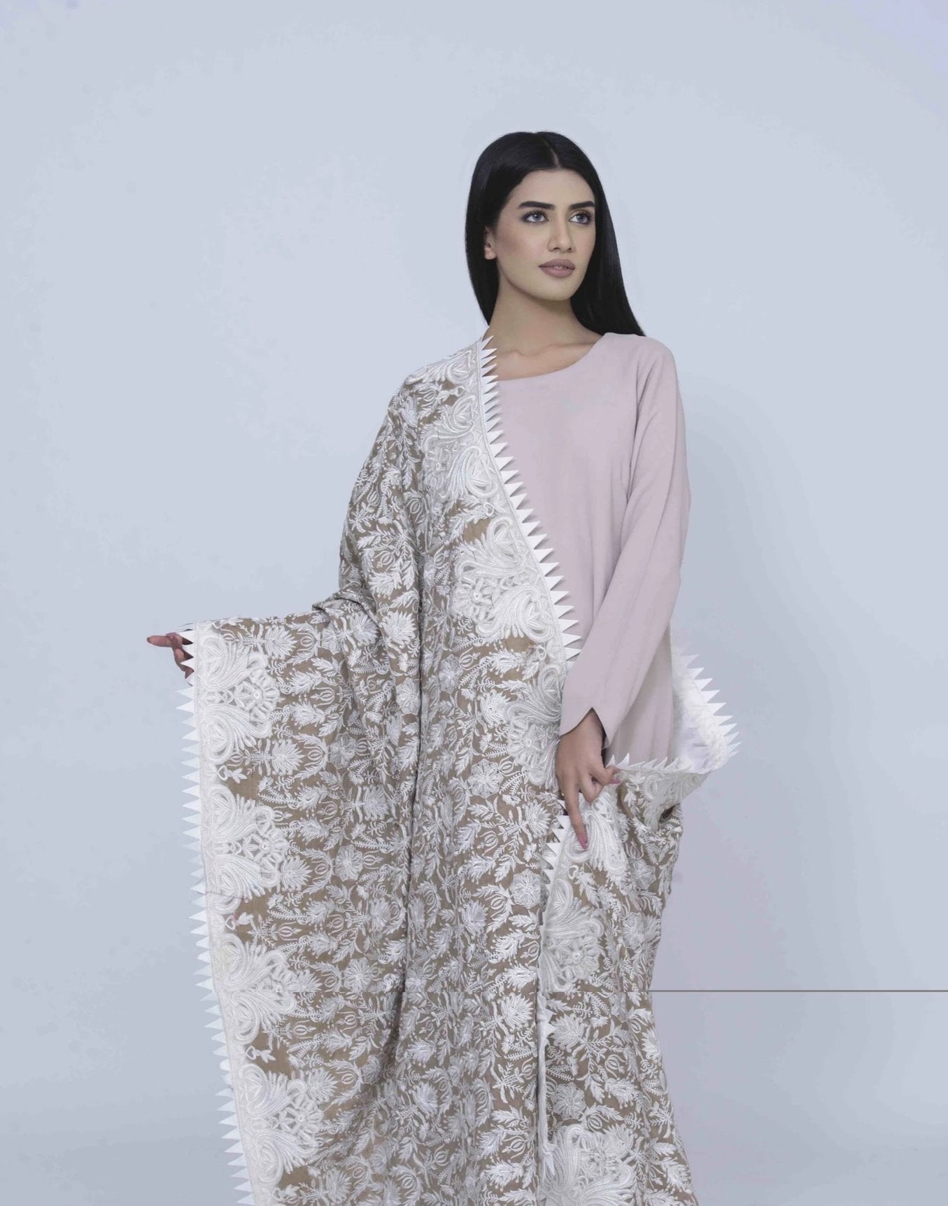 Beige Pashmina Shawl with White Embroidary