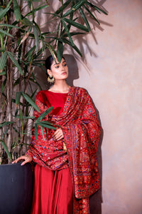 Fully Embroidered Raw Silk Reshamkar Shawl