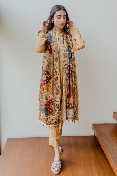 Picture of Brown And Beige Velvet Scarf