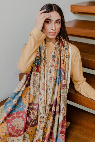 Picture of Brown And Beige Velvet Scarf