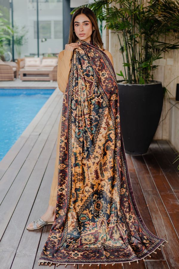 Picture of Brown Velvet Shawl