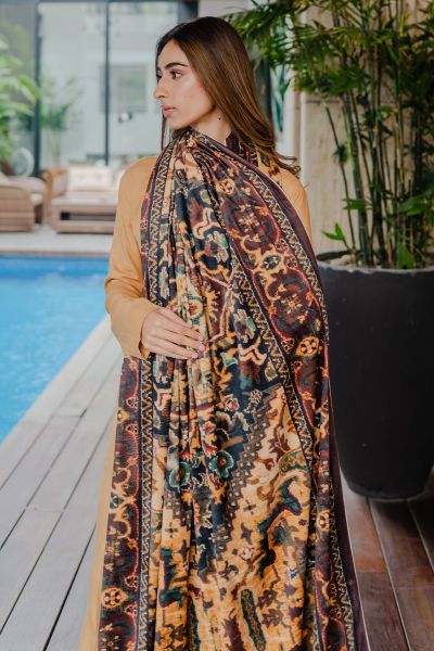 Picture of Brown Velvet Shawl