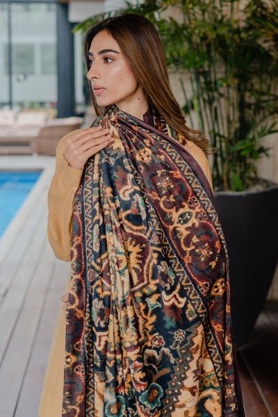 Picture of Brown Velvet Shawl