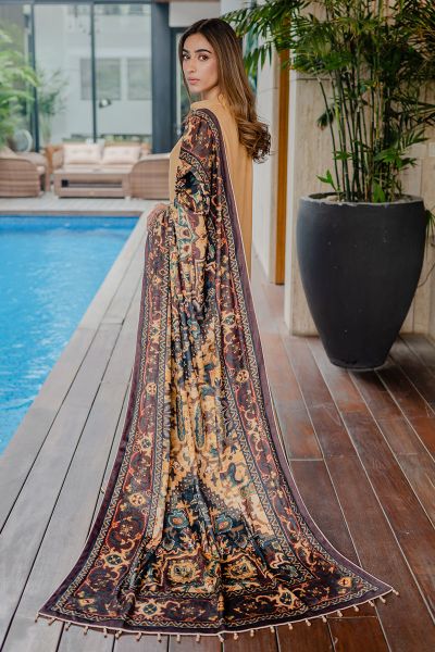 Picture of Brown Velvet Shawl