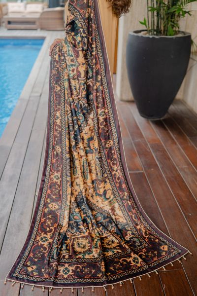 Picture of Brown Velvet Shawl